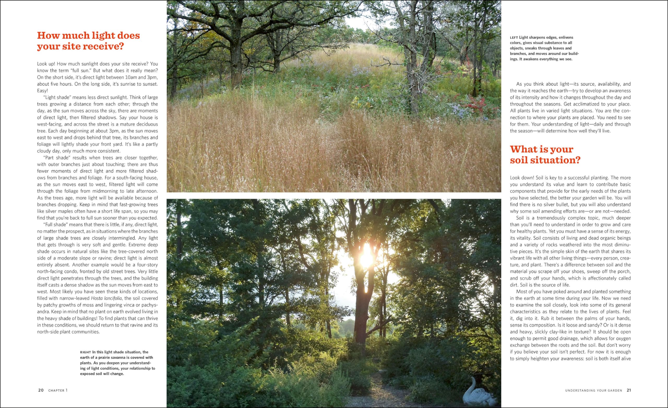 The Know Maintenance Perennial Garden