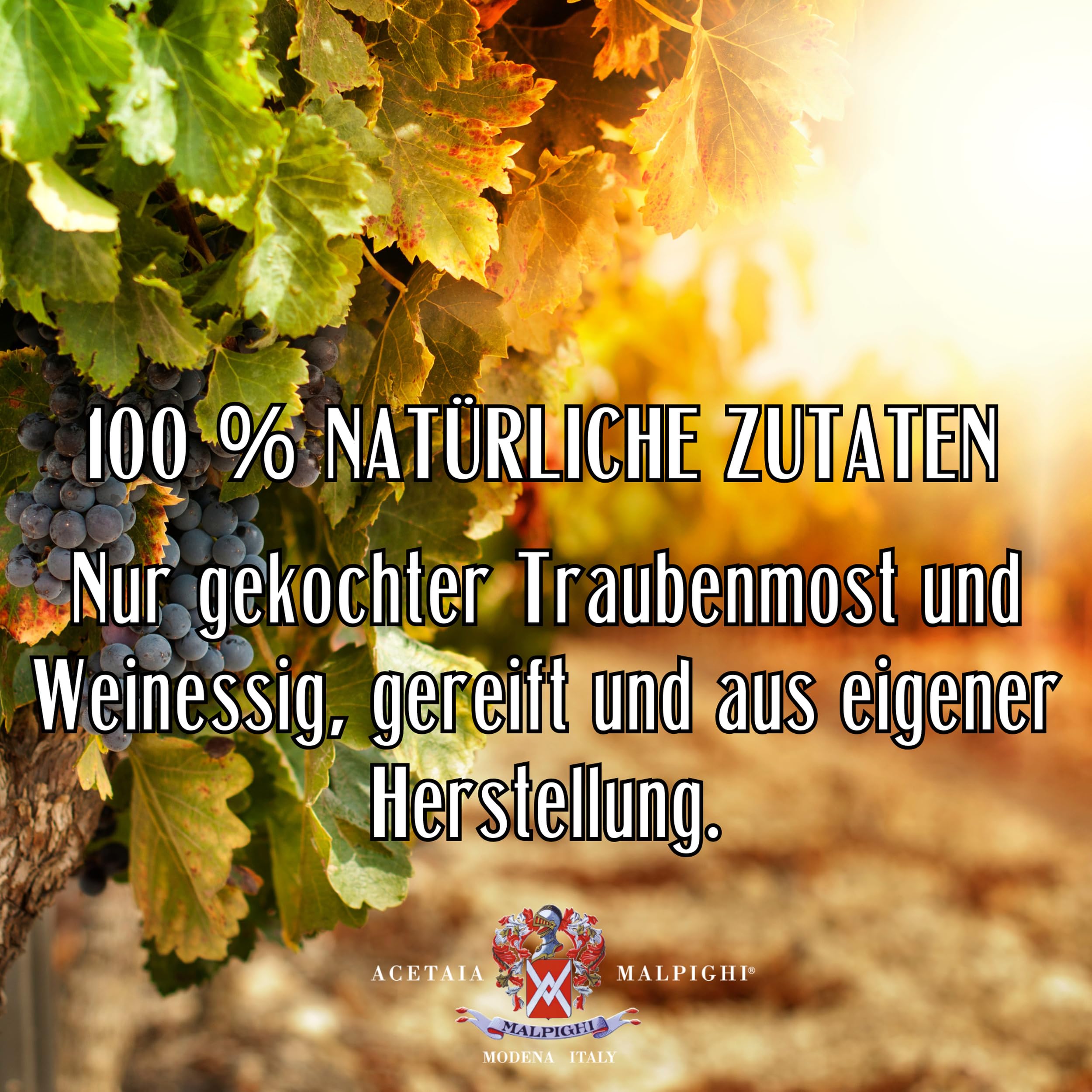 Acetaia Malpighi – Traditioneller Balsamico-Essig aus Modena DOP Extravecchio Secolare – 100 ml – Nur gekochter Most – mit Rezeptbuch und Dosierverschluss