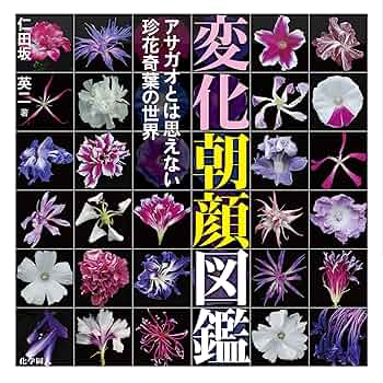 朝顔 昔の押し花の記録ノートです 朝顔 昔の押し花の記録ノートです