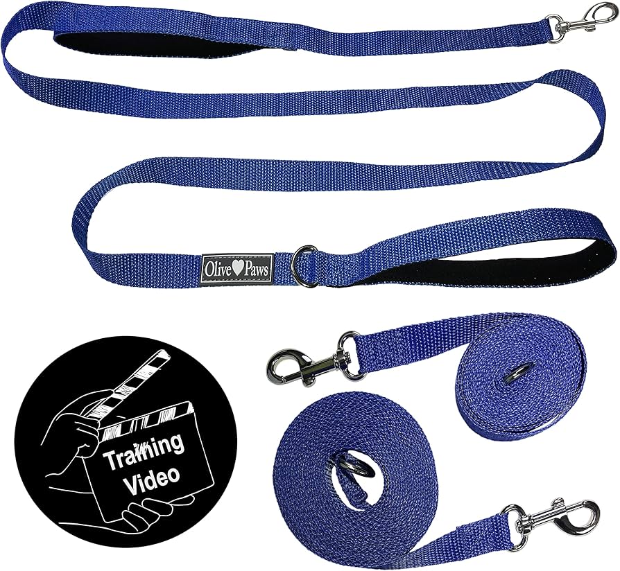 30 Foot Dog Training Leash: Unleash Your Pet's Potential