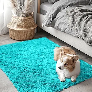 OLANLY 2x3 Machine Washable Small Bedside Rug, Soft Fluffy Shaggy Entryway Throw Rugs for Bedroom, Living Room, Indoor Floor Carpet for Kids Girls Boys, Nursery Rooms, Home Decor Aesthetic, Teal Blue