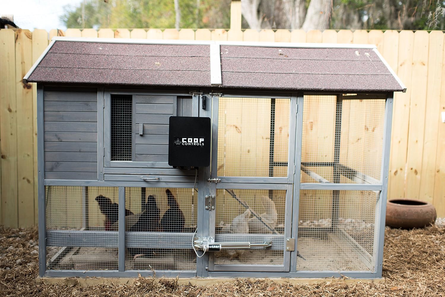 Exclusive Special Coop Controls Automatic Coop Door Opener Kit (CKSPXP-Solar Kit, No Battery) Get Special Price Coop Controls Automatic Coop Door Opener Kit (CKSPXP-Solar Kit, No Battery)