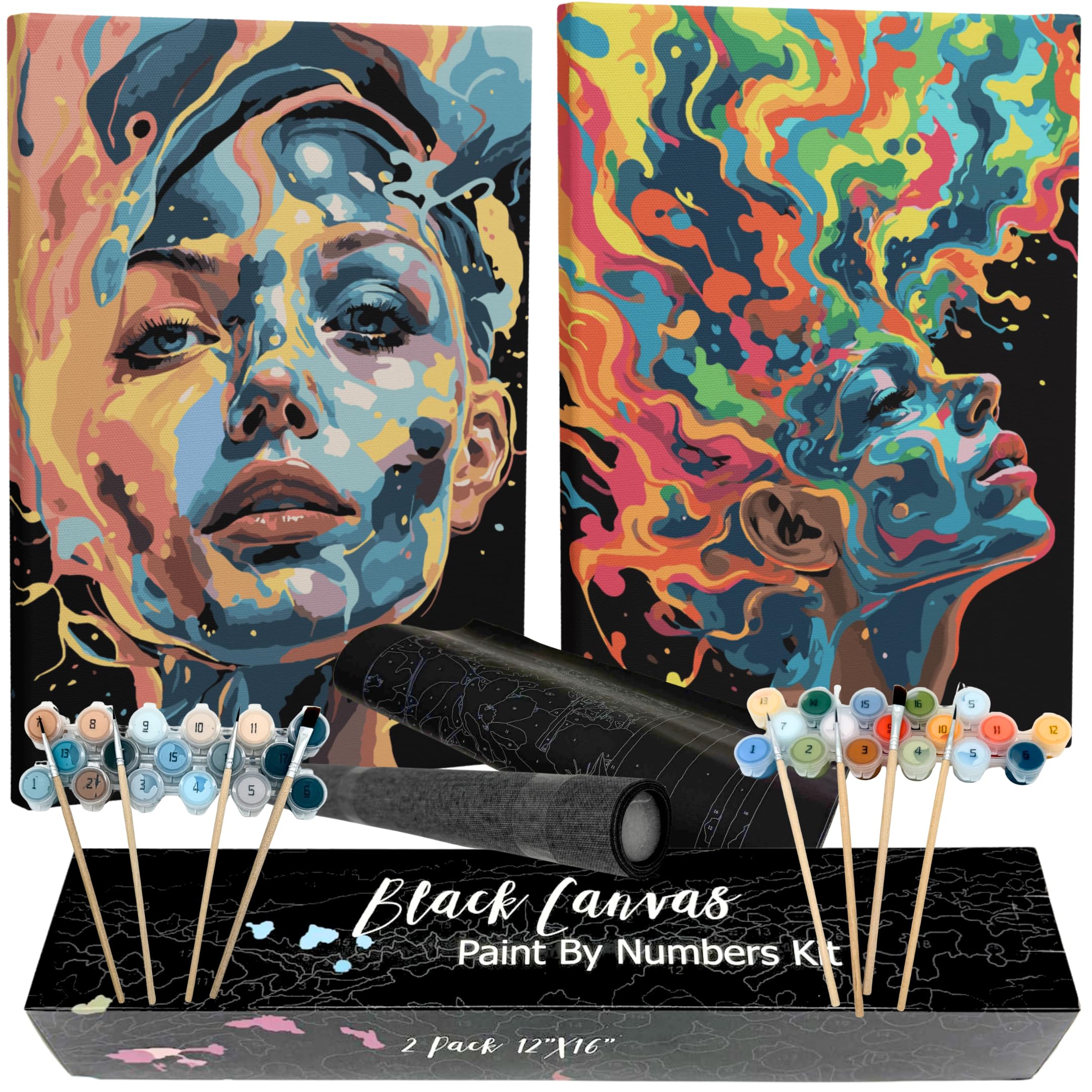 Artellaire 2 Pack Paint by Numbers Kit