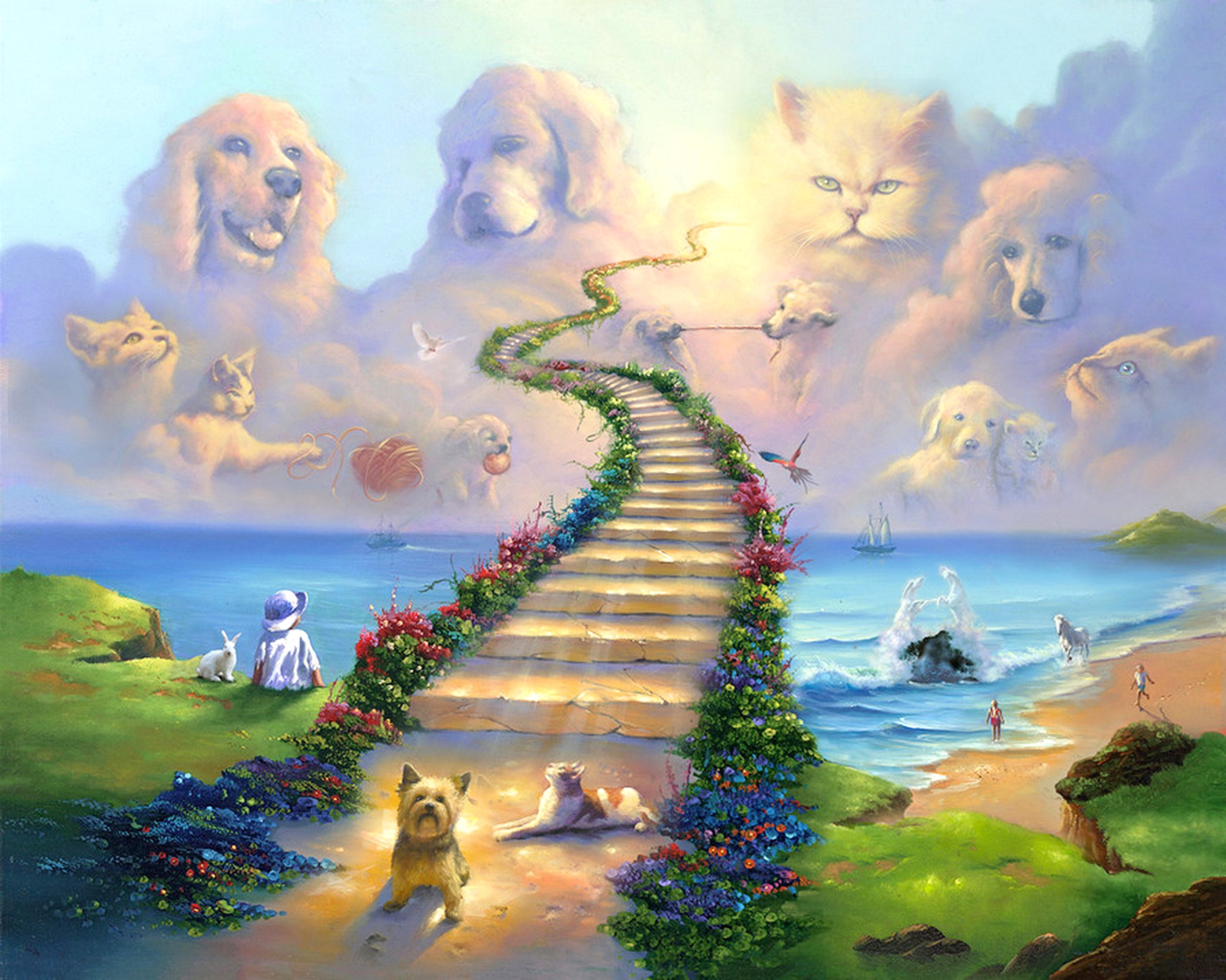Treasure Chest Shoppe 16x20 11x14 or 8x10 Rainbow Bridge All Pets Go Stairway to Heaven Art Print Sympathy Memorial Dogs Cats (11x14)