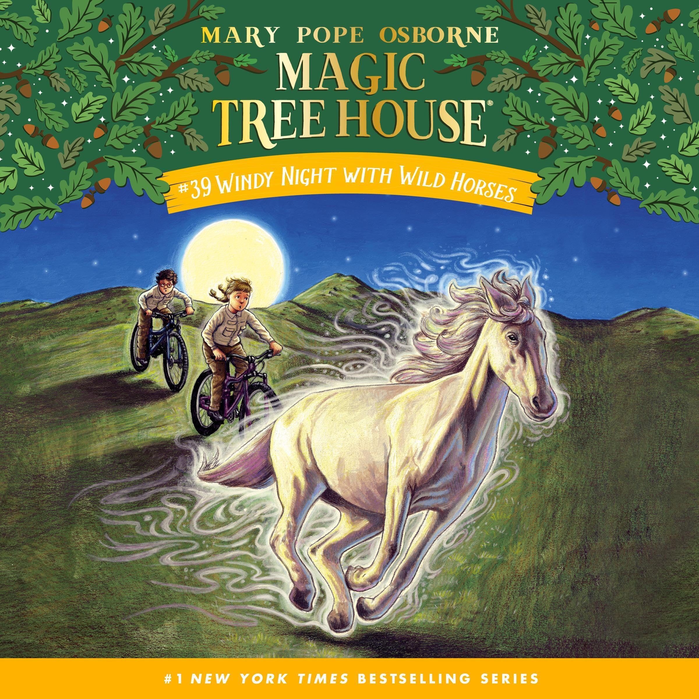 Cover art for Windy Night with Wild Horses