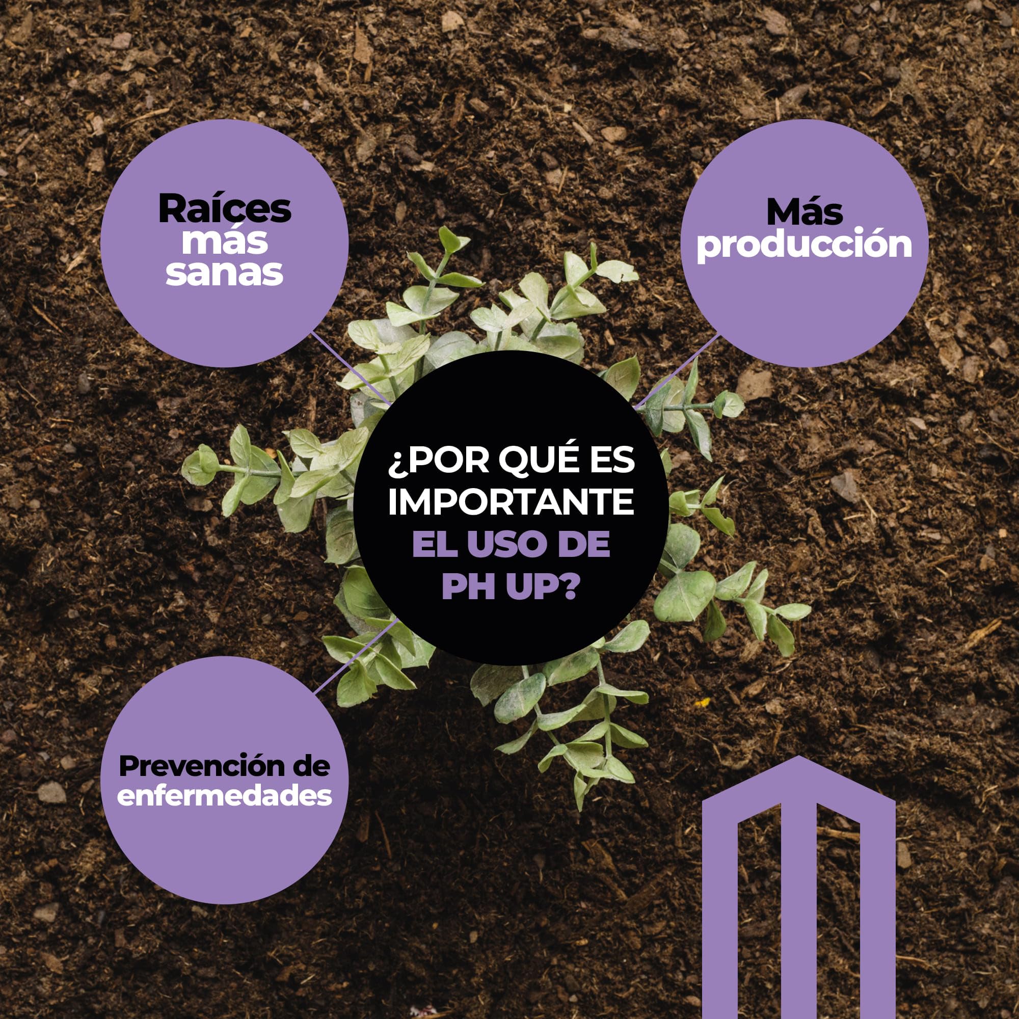 UP NUTRIENTS Pack régulateur PH UP & DOWN 1 L pour plantes | Augmente et amincissant pH sols, cultures et fleurs | Correcteur soulevé et abaisseur 100 % biologique adapté à l'agriculture biologique