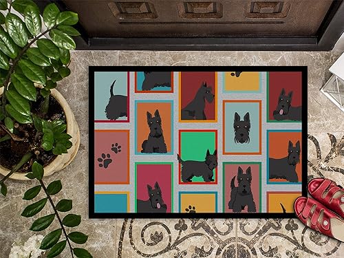 Miniatura 3 de Caroline's Treasures MLM1109JMAT - Tapete para puerta delantera de 24 x 36 pulgadas, para interiores y exteriores, antideslizante, lavable, de pelo