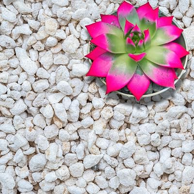 Extra Coarse Horticultural Perlite