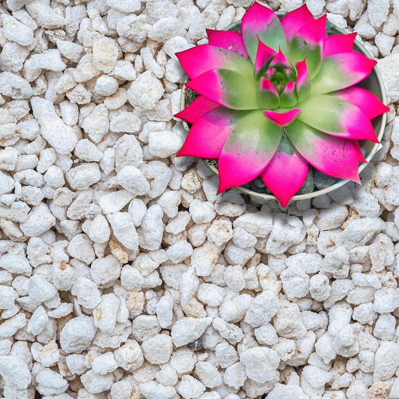 Perlita extra grossa para terrários e plantas GARDENWISE Grade 4, 28,4 L