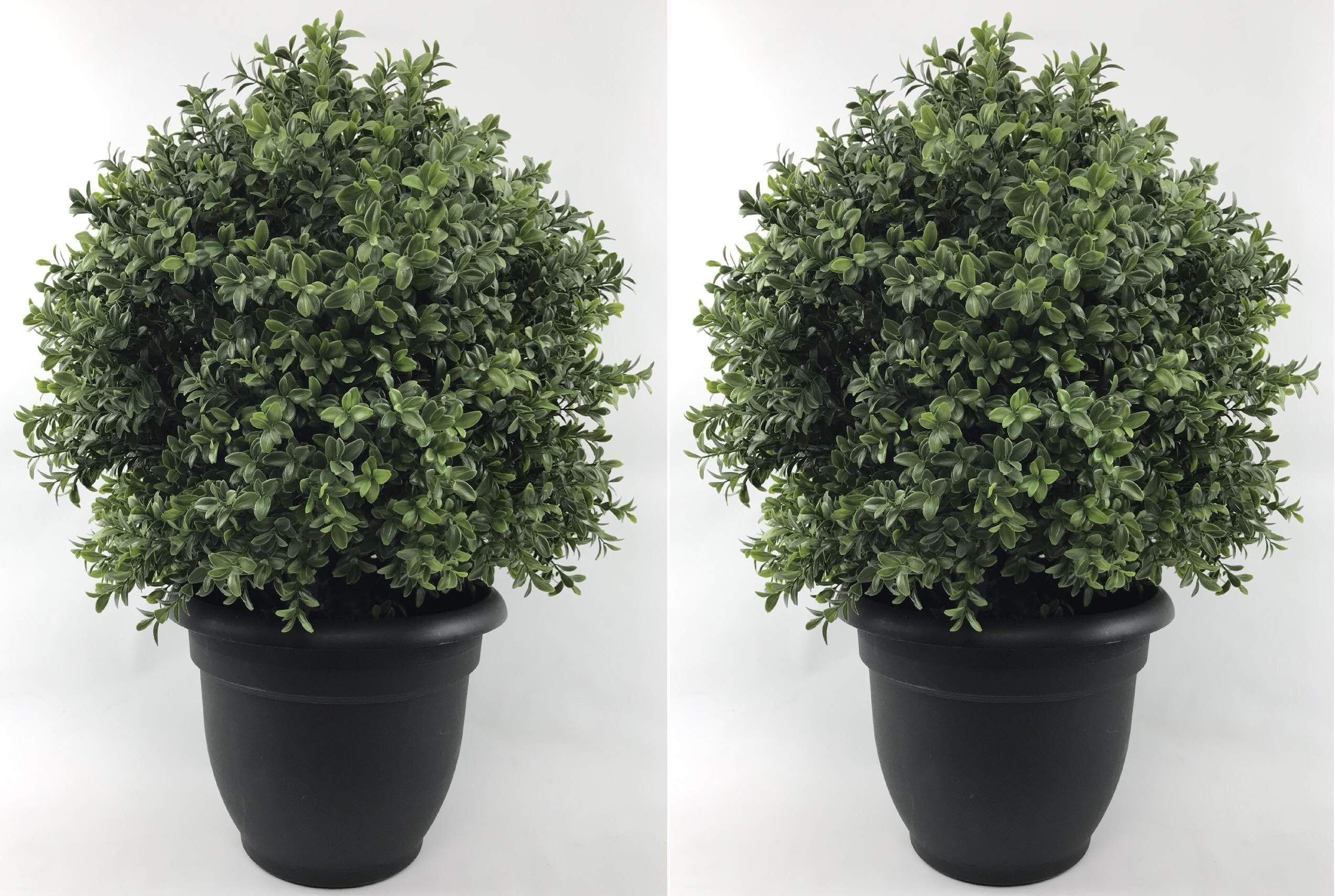 Two 24 inch Tall Outdoor Artificial 16 inch Wide Boxwood Topiary Balls UV Rated with Free 10 inch Decorative Pot