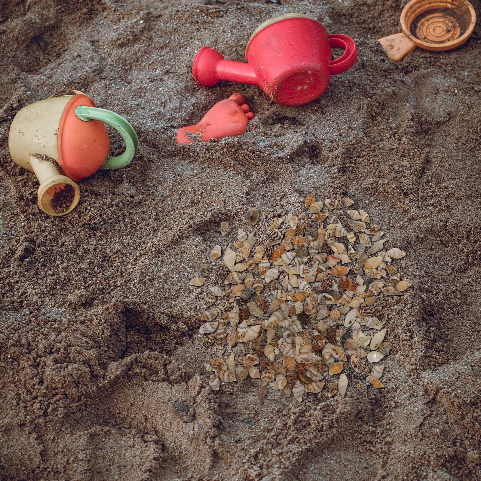 HOMSFOU Conchiglie Naturali Mini per Decorazioni Fai da Te, Riempitivo Artigianale per Vasi e Oggetti, Accessori Epossidici Resistenti alla Corrosione, Set da 2 Scatole per Ambienti