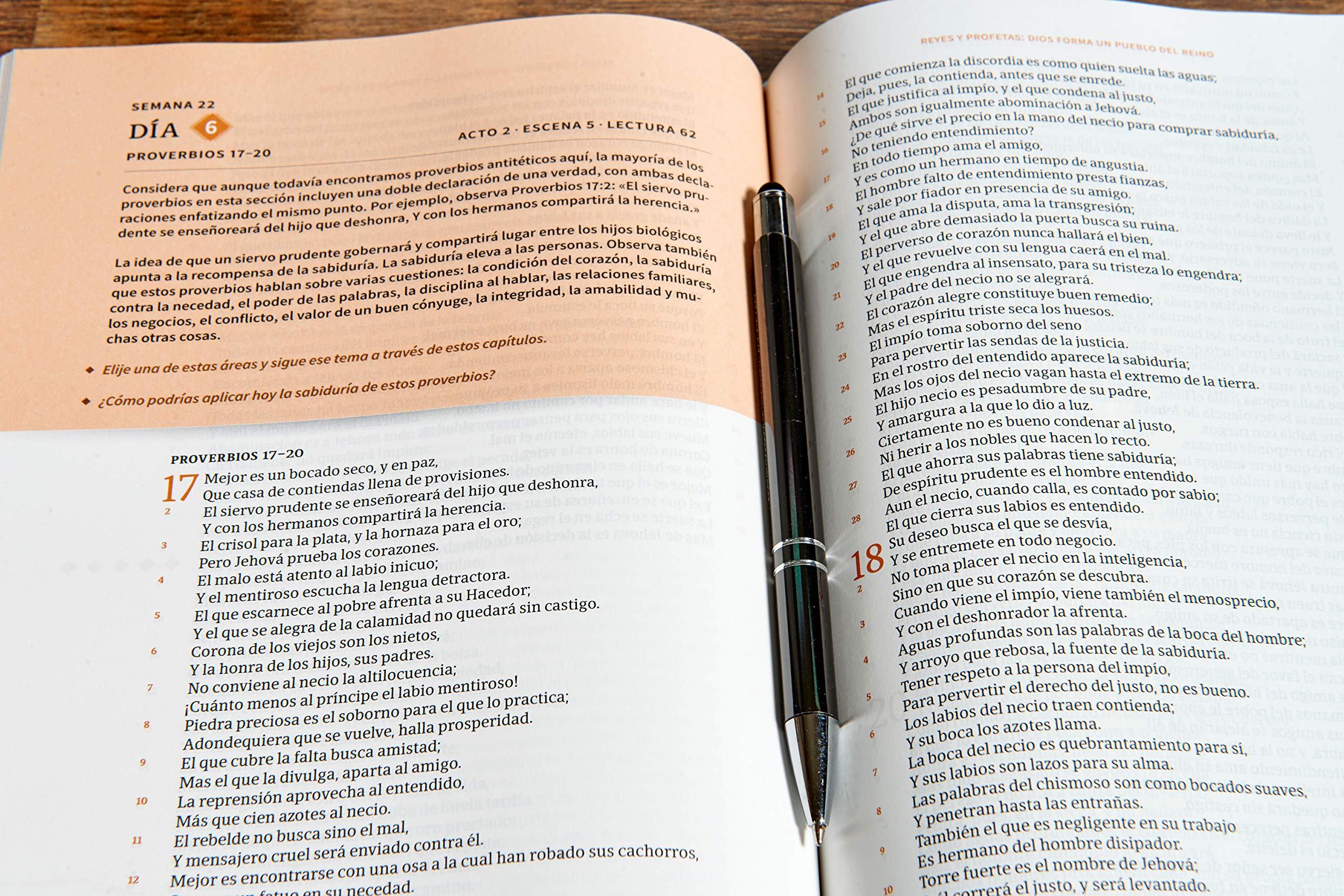 RVR 1960 Biblia cronológica, día a día, tapa dura: Rvr 1960 Biblia Cronológica, Día a Día, Tapa Dura