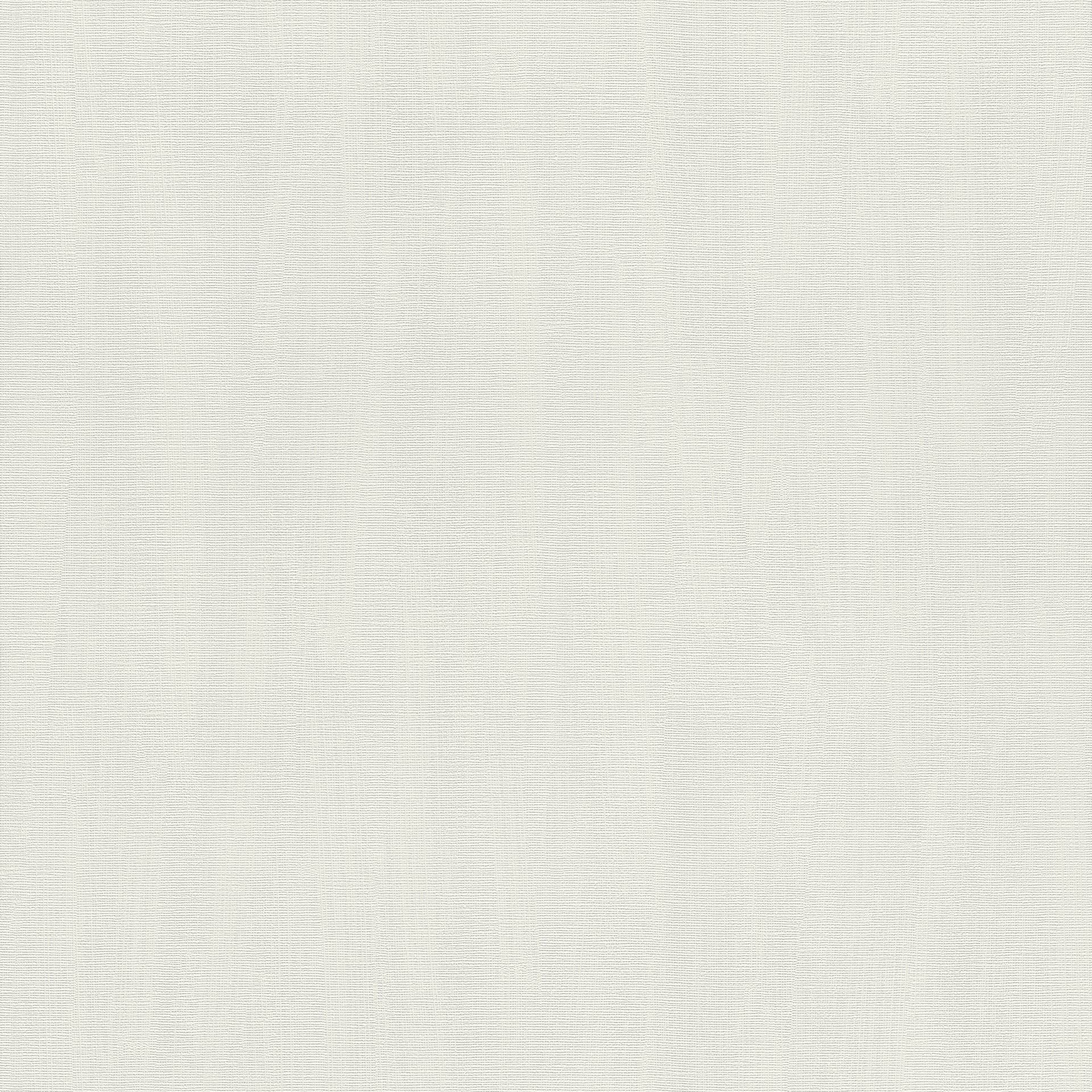 Rasch Wallpaper Fleece Wallpaper (Universal) Grey 10, 05 m x 0, 53 m Hyde Park 411867