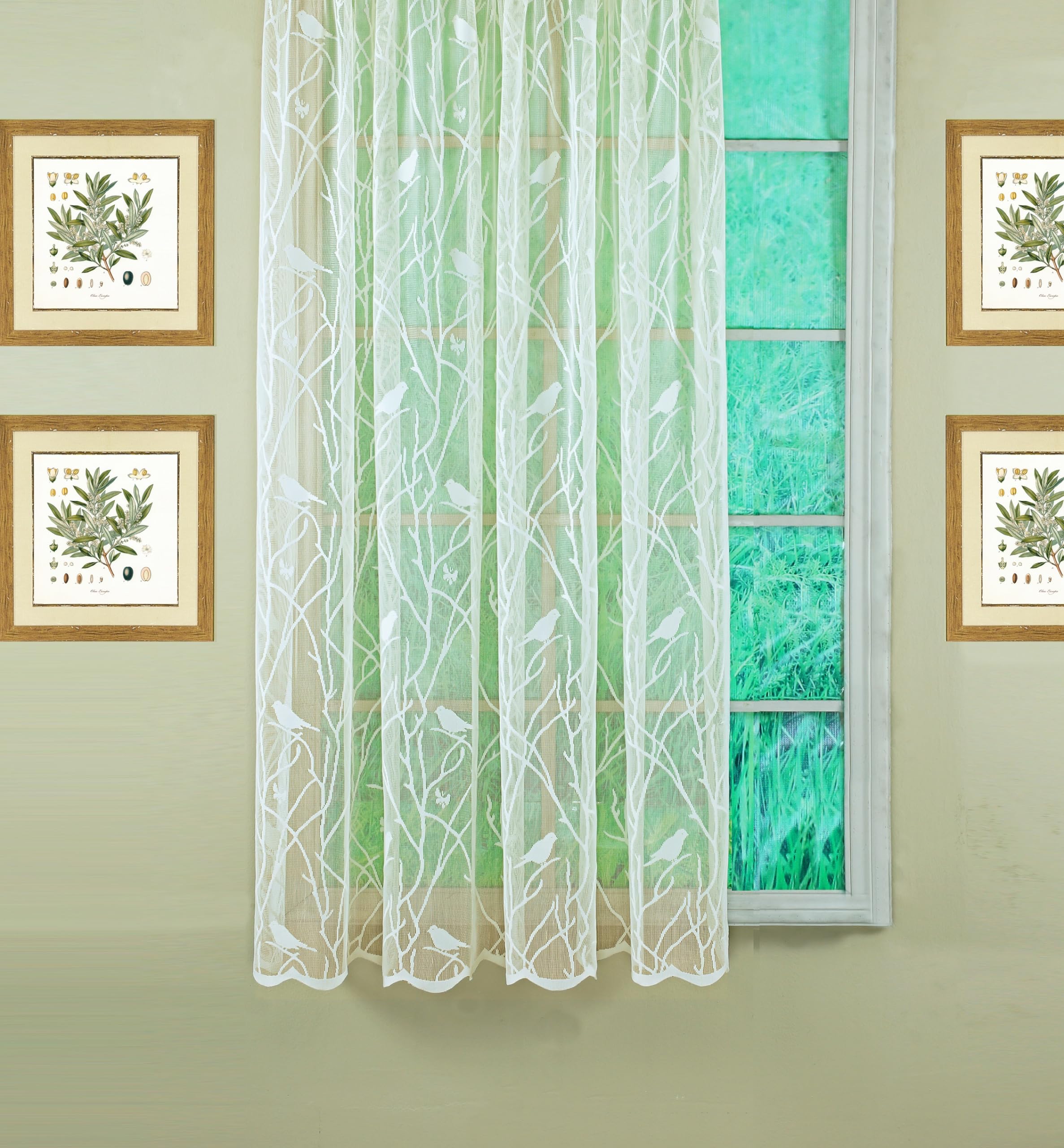 Today's Curtain, Songbird Semi-Sheer Lace Panel 63", Ivory, 56" W x 63" L