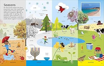 正規品　DK 1000 Words Science など2冊　英文絵本 1000 Words: STEM: DK: 9780241458969: Amazon.com: Books