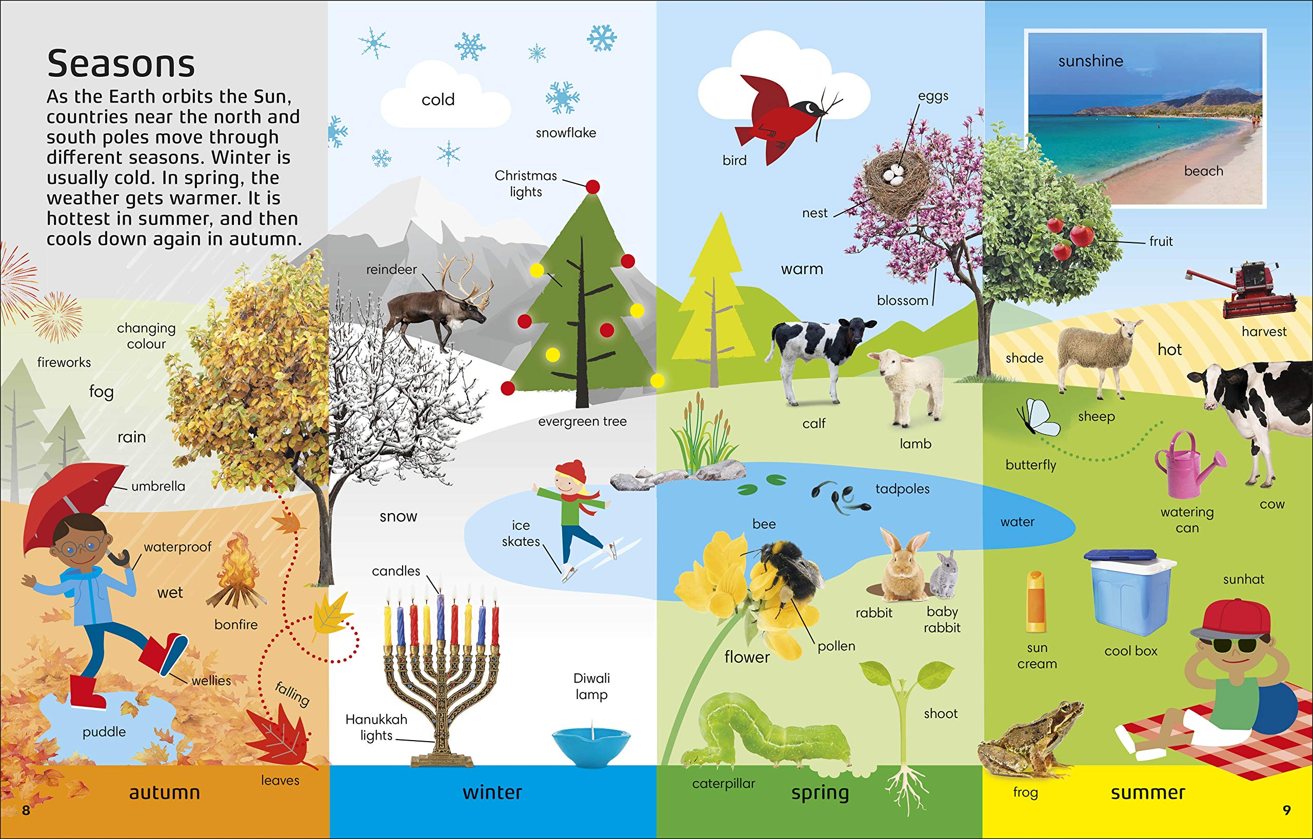 1000 Words: STEM (Vocabulary Builders)