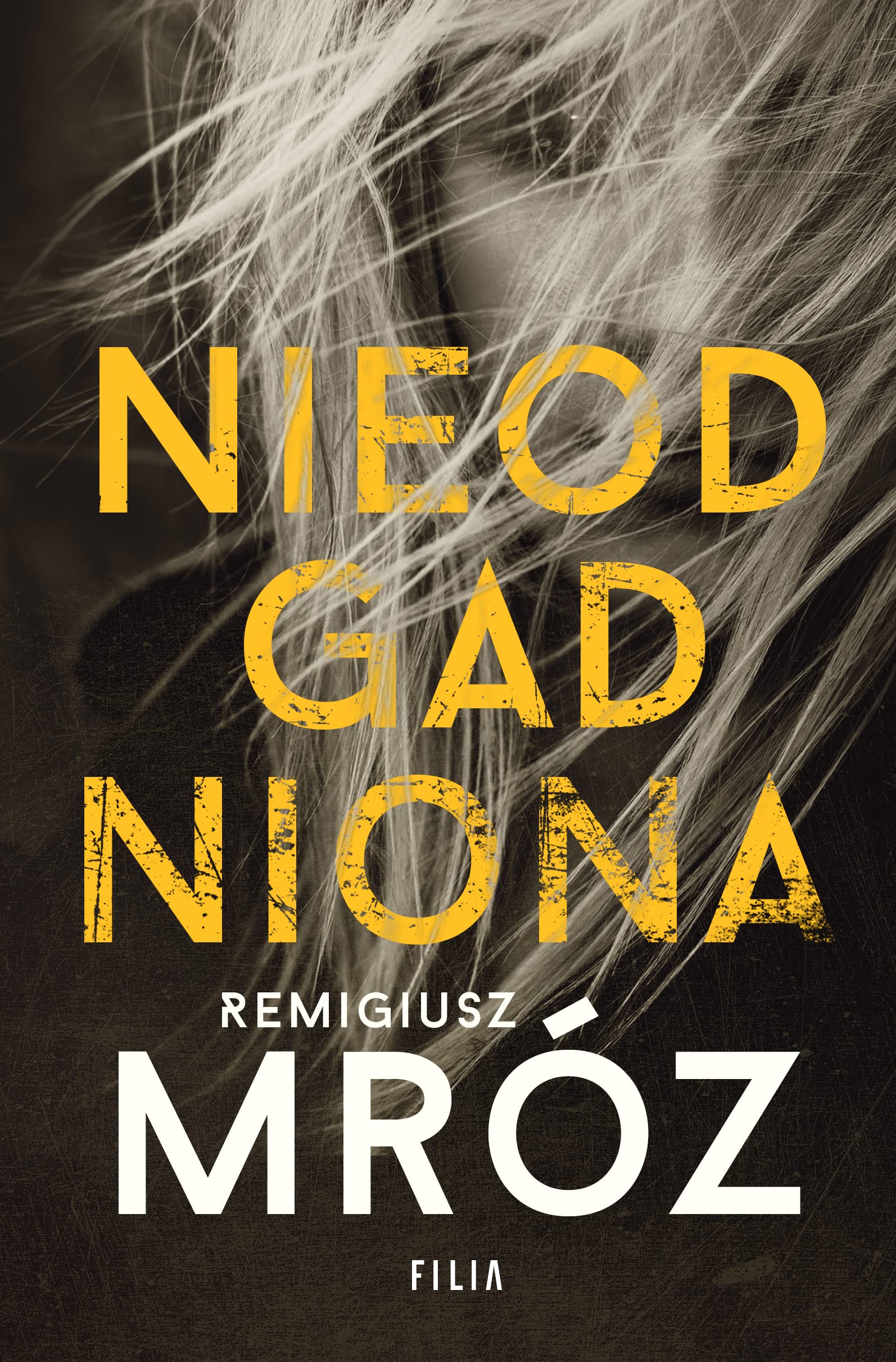 Nieodgadniona Remigiusz Mróz Polish Book Damian Werner Książka po Polsku