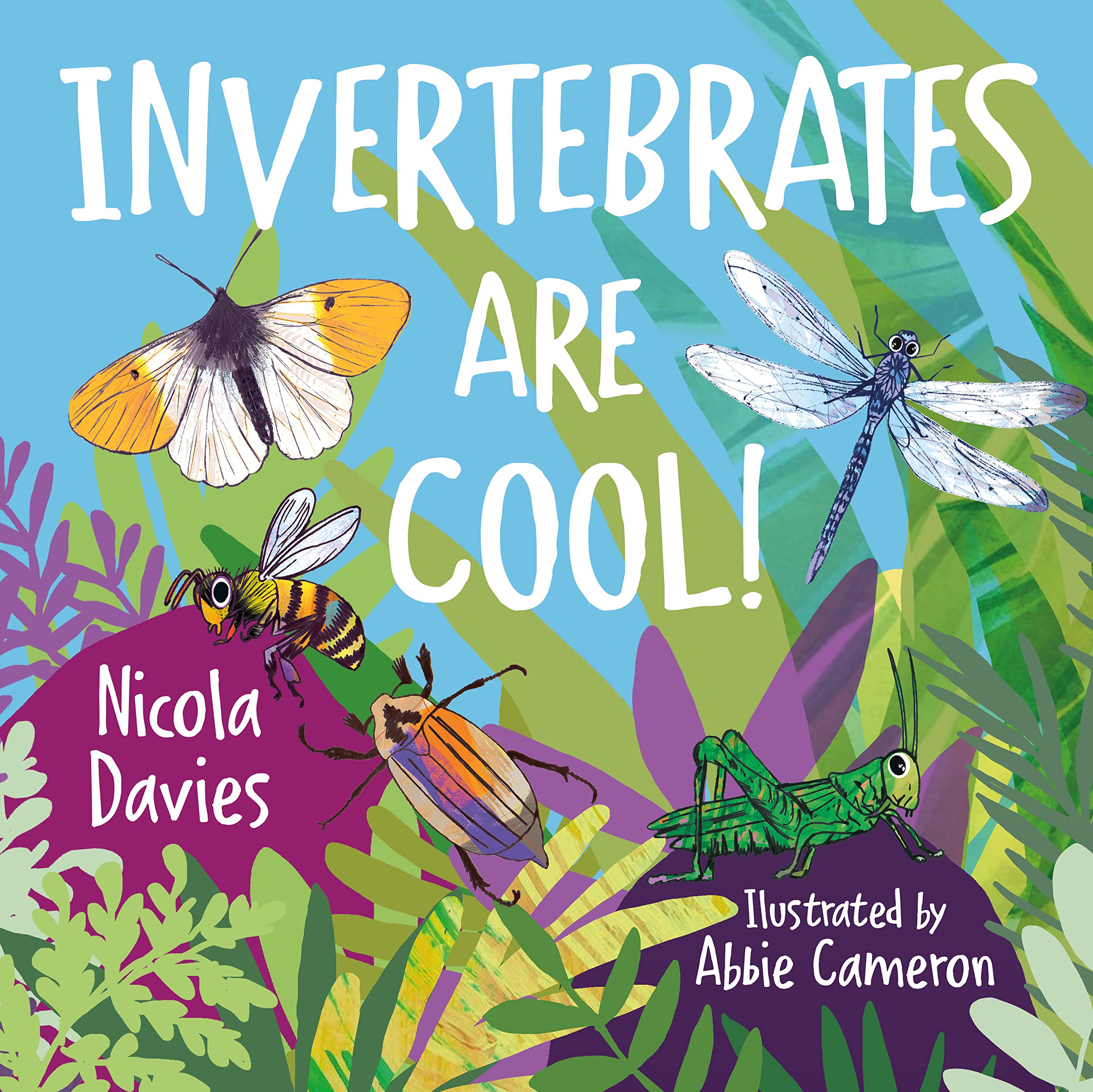 Invertebrates are Cool!: 5 (Animal Surprises)