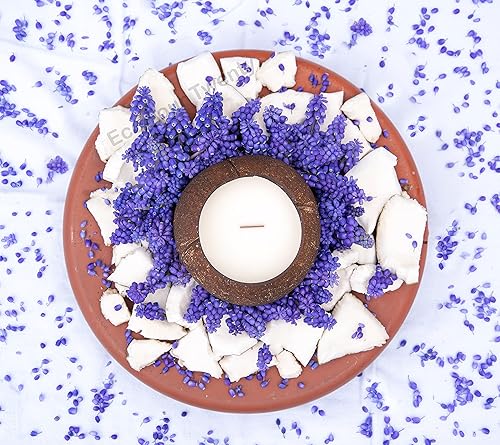 Miniatura 2 de Eco Four Twenty Vela de coco natural en un coco real. Mezcla de coco natural y cera de soja, quema más de 40 horas (lavanda lujosa)