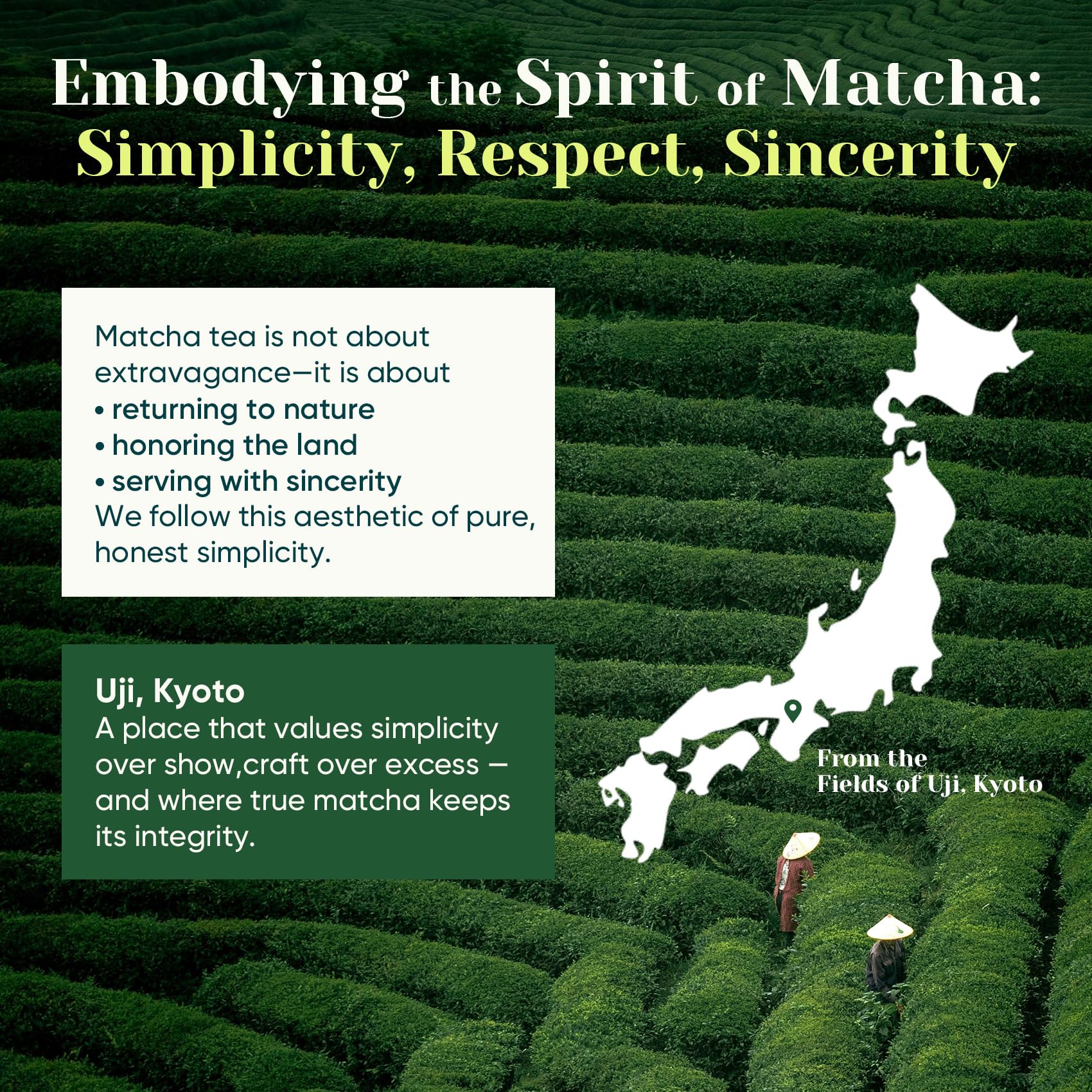 Venture Pal Superior Ceremonial Grade Matcha Powder 100 Pure First Harvest Matcha Powder Green Tea sourced from Uji — view 5