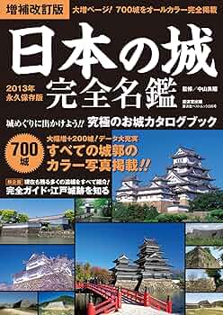 91o1q5C8gAL._AC_UF350,