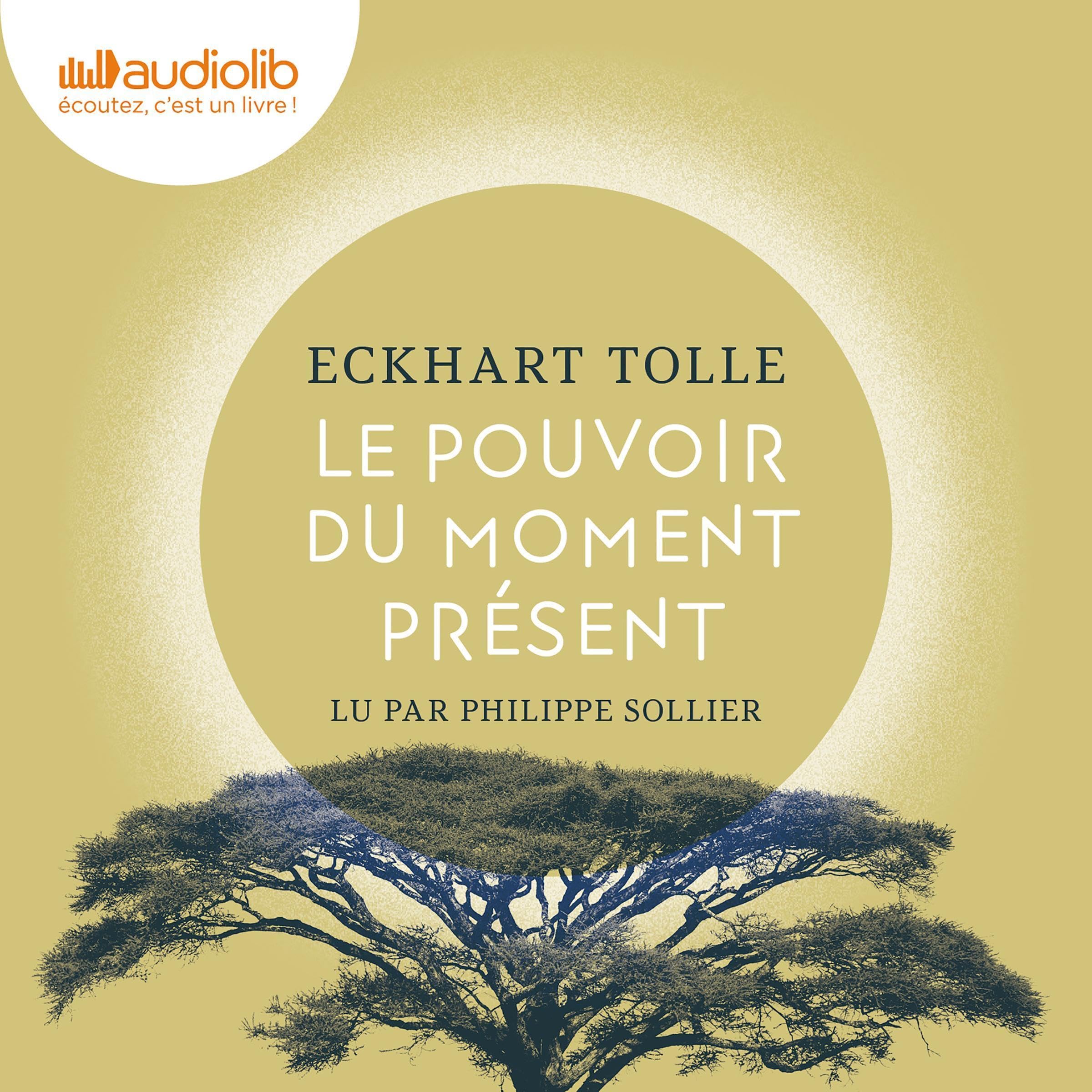 Cover art for Le Pouvoir du moment présent