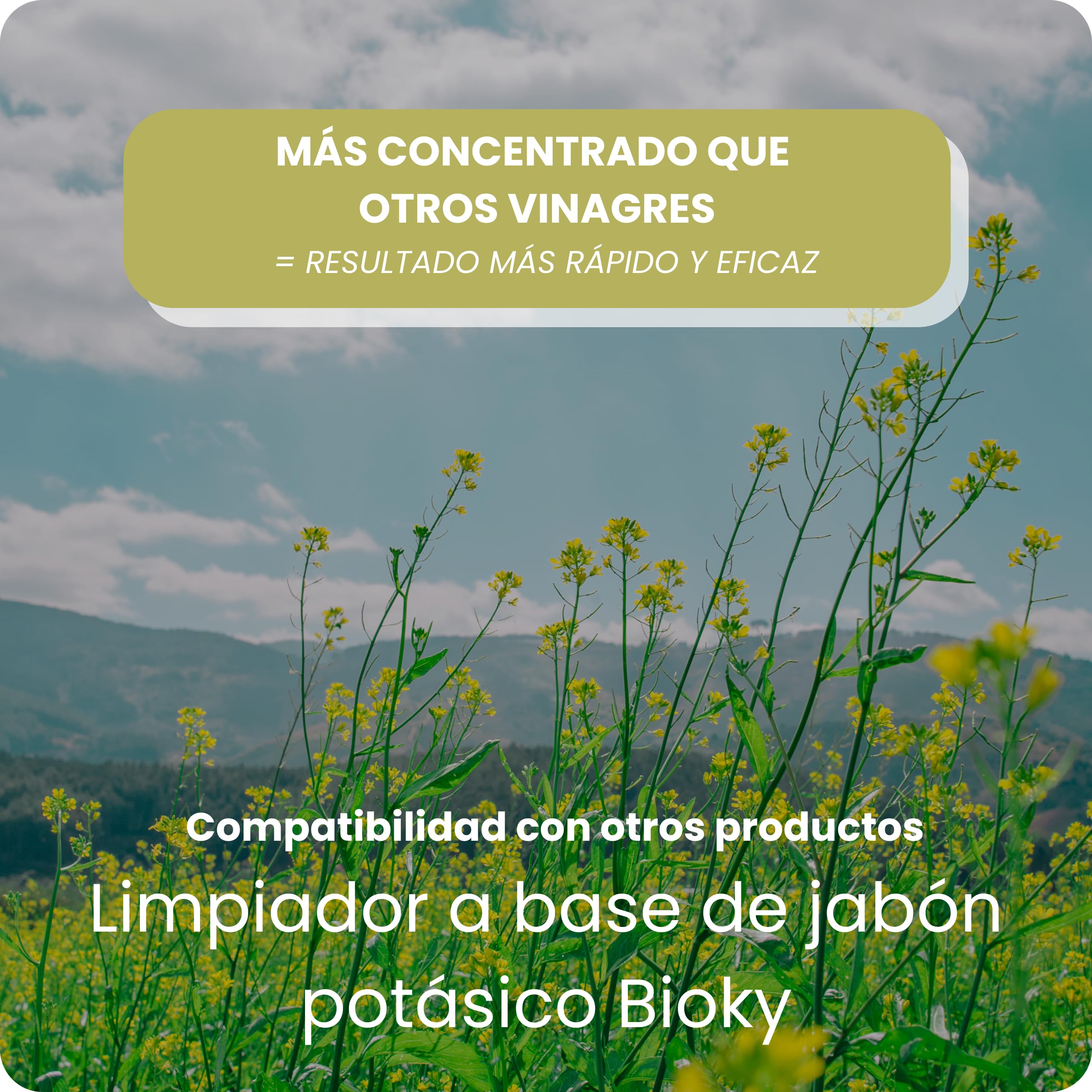 Vinagre Concentrado al 20% - 20L – Origen Natural de Alcohol de Cereal – Sin Residuo - Acción Limpiador Profundo - Elimina Moho y Hongos (20L)