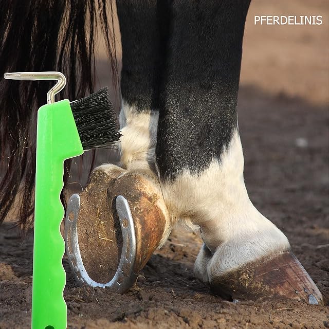 Foto 5 de 6 de Rascador de pezuña para caballos, burro, cabra