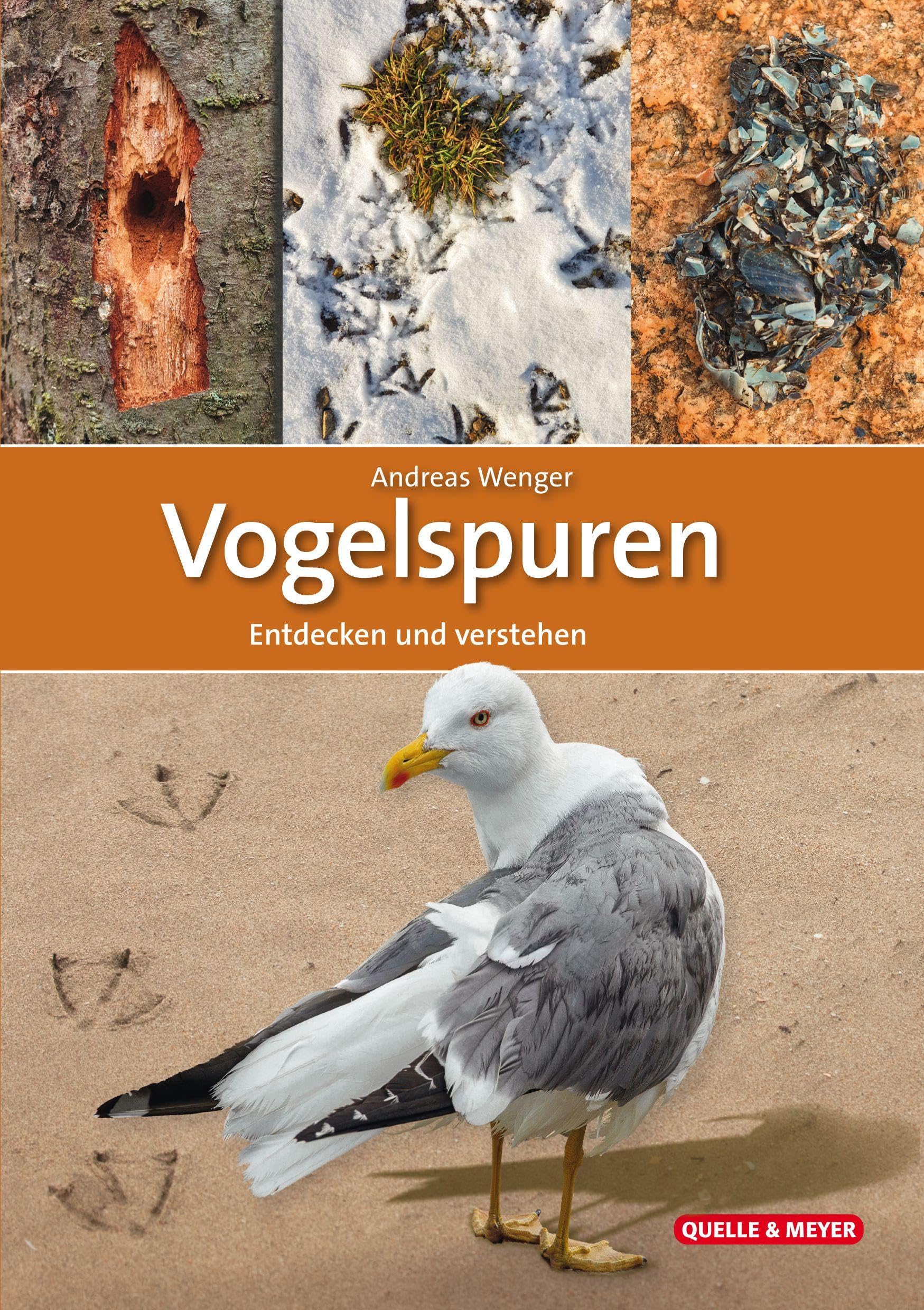 Vogelspuren: Entdecken und verstehen