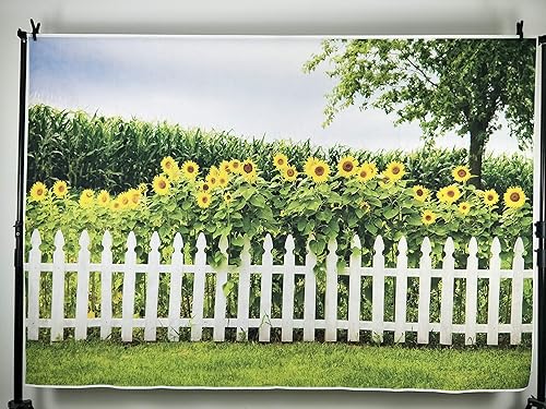 Leyiyi Telón de fondo de paisaje natural primaveral de 5 x 3 pies, diseño de girasoles amarillos, árbol alto y exuberante, valla texturizada de