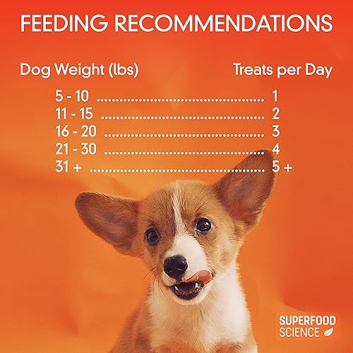 Miniatura 9 de Golosinas orgánicas para perros, con pollo, batata, cúrcuma y linaza, bajas en calorías, sin granos, semi-suave, natural para perros, golosinas