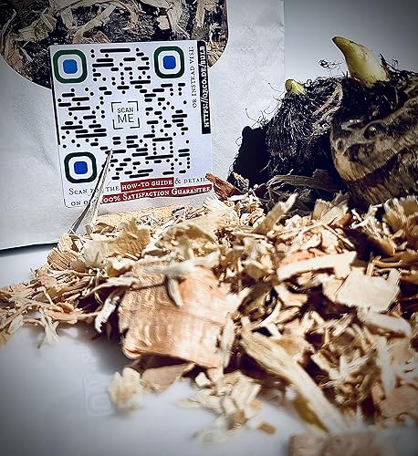 Miniatura 3 de Ready 2 Grow 10 Bombillas Vivas Colocasia Esculenta Elefante Oreja Taro Gabi Kalo Eddo