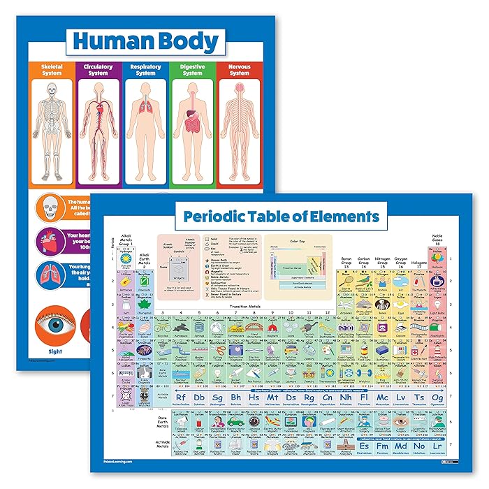 Buy 2 Pack - Periodic Table of The Elements Poster for Kids