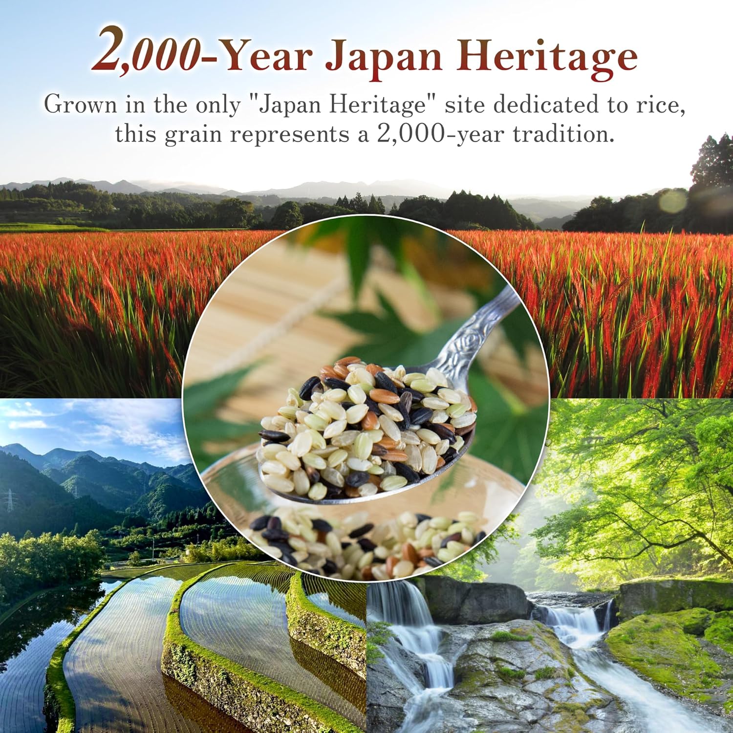 Ancient rice [black red green blend] 1.1 lbs from Kumamoto, Japan, Low GI, Ideal for weight loss, Zippered for convenient storage