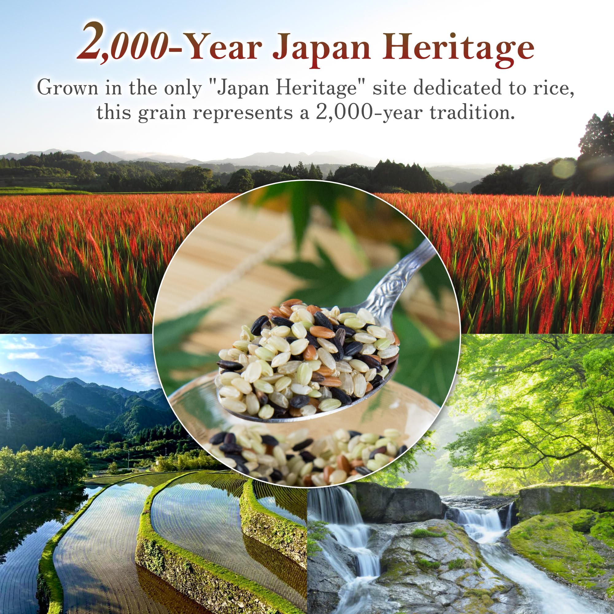 Amazon.com : Ancient rice [black red green blend] 2.2 lbs from