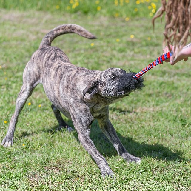 Foto 4 de 4 de Tug-E-Nuff Dog Gear WondaBaa Bungee Tirador de Juguete para Perros para Entrenamiento Interactivo y Juego