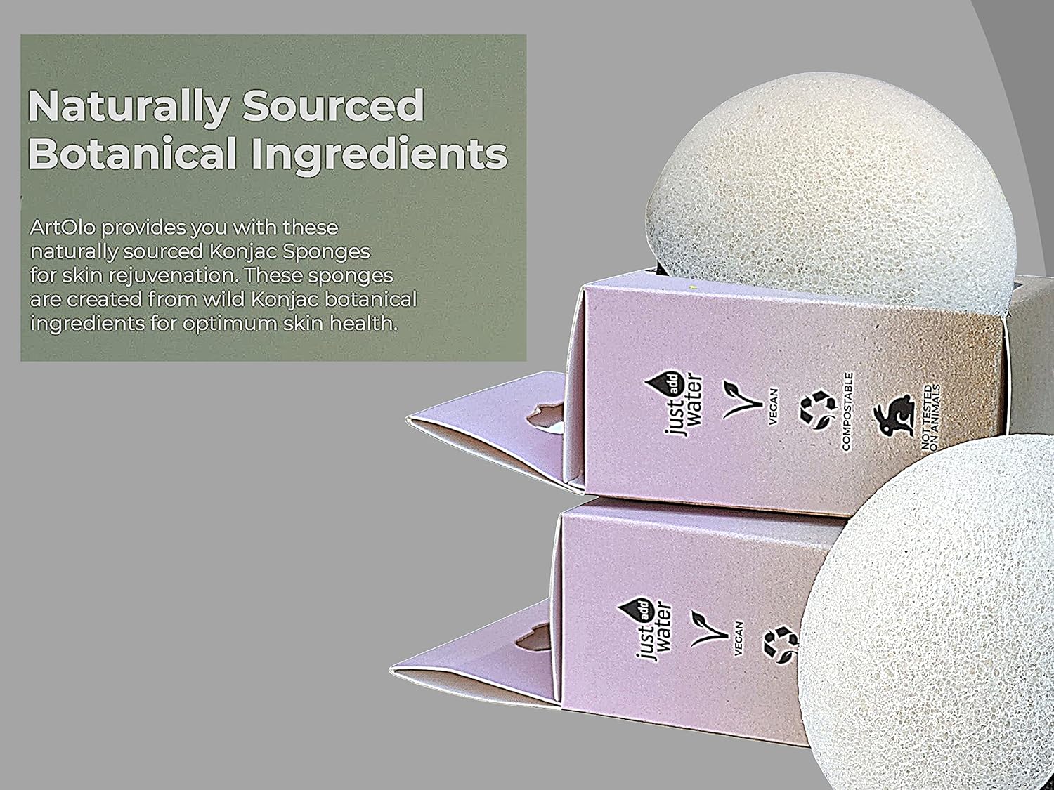 Artolo Konjac Facial Sponge All-Natural Beauty Tool, Japanese Skincare Product, Deep Cleansing Skin Routine, Makeup Remover Easy to Use Face and Body Pure Konjac Sponges – 1pcs (White) : Everything Else