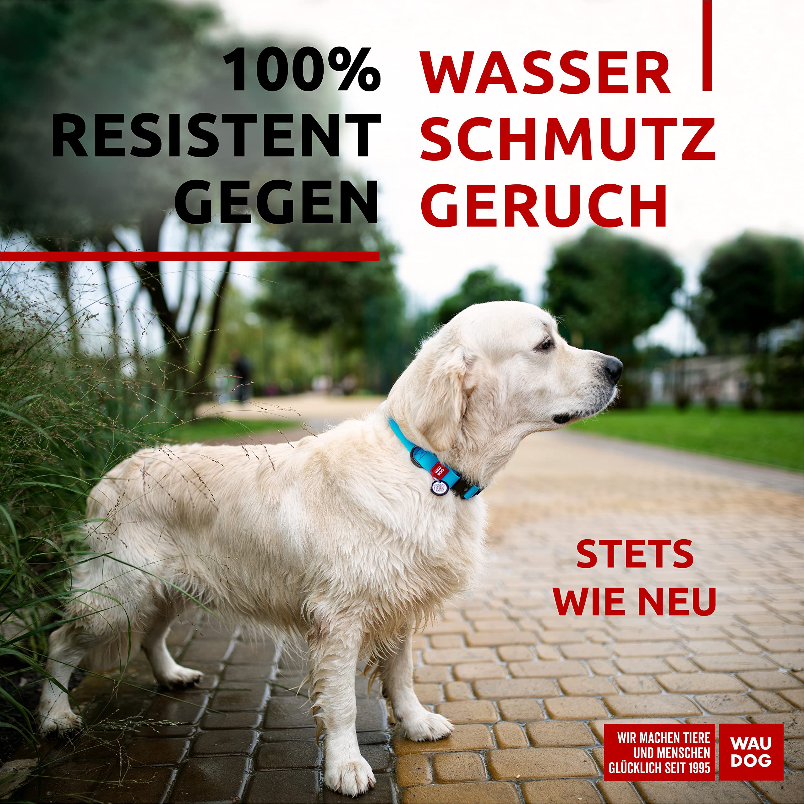 WAUDOG Halsband Hund Wasserfest Verstellbar fr Groe, Kleine und  Mittelgroe Hunde/Welpen - Mit Metall Verschluss : Amazon.de: Haustier
