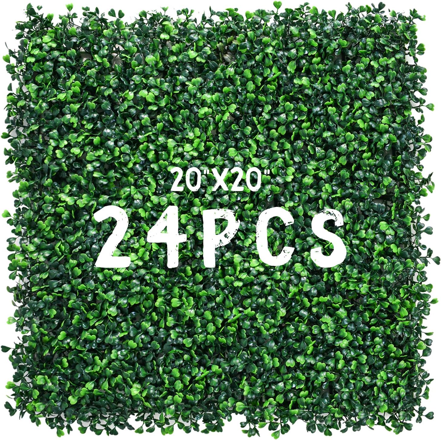 20 X 20