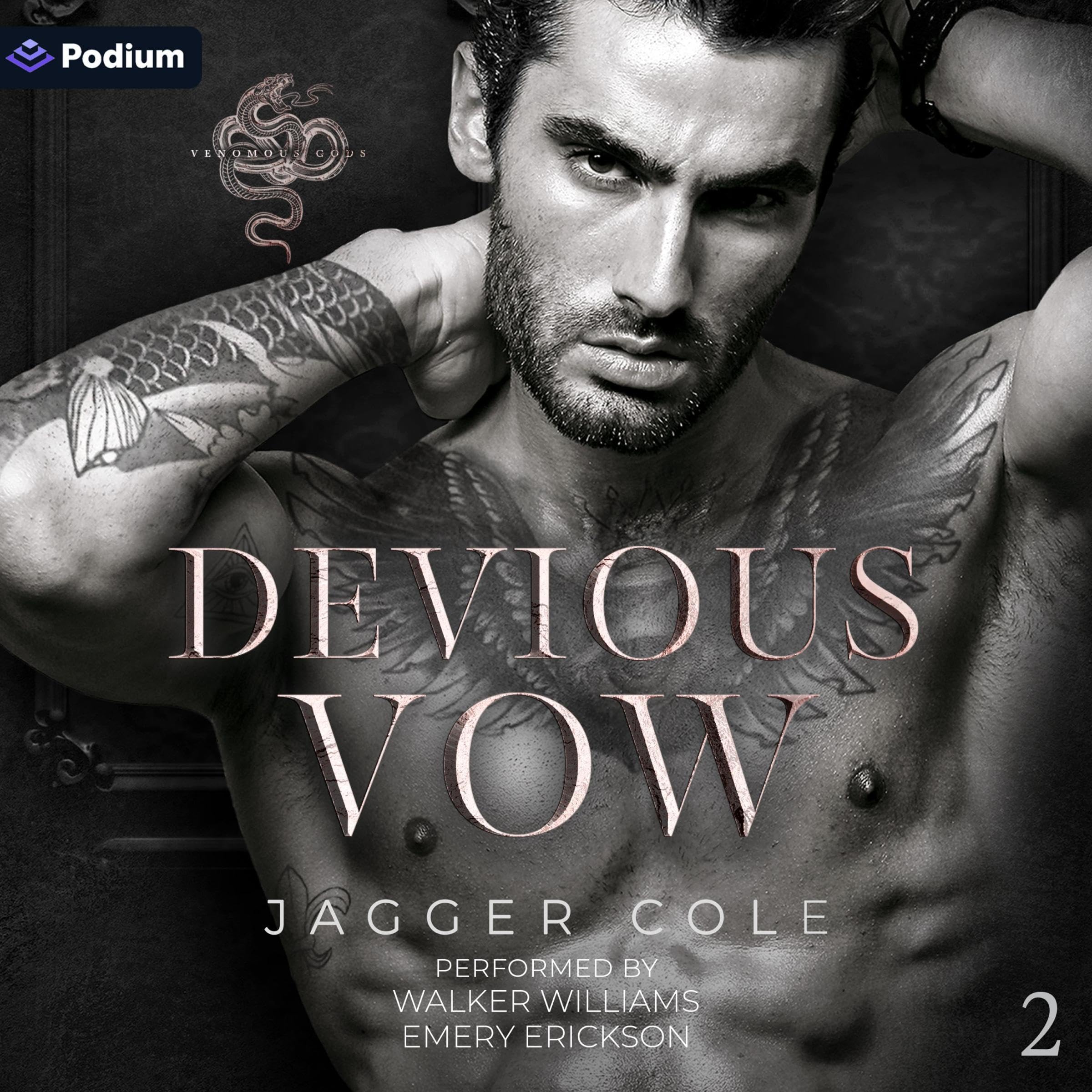 Cover art for Devious Vow
