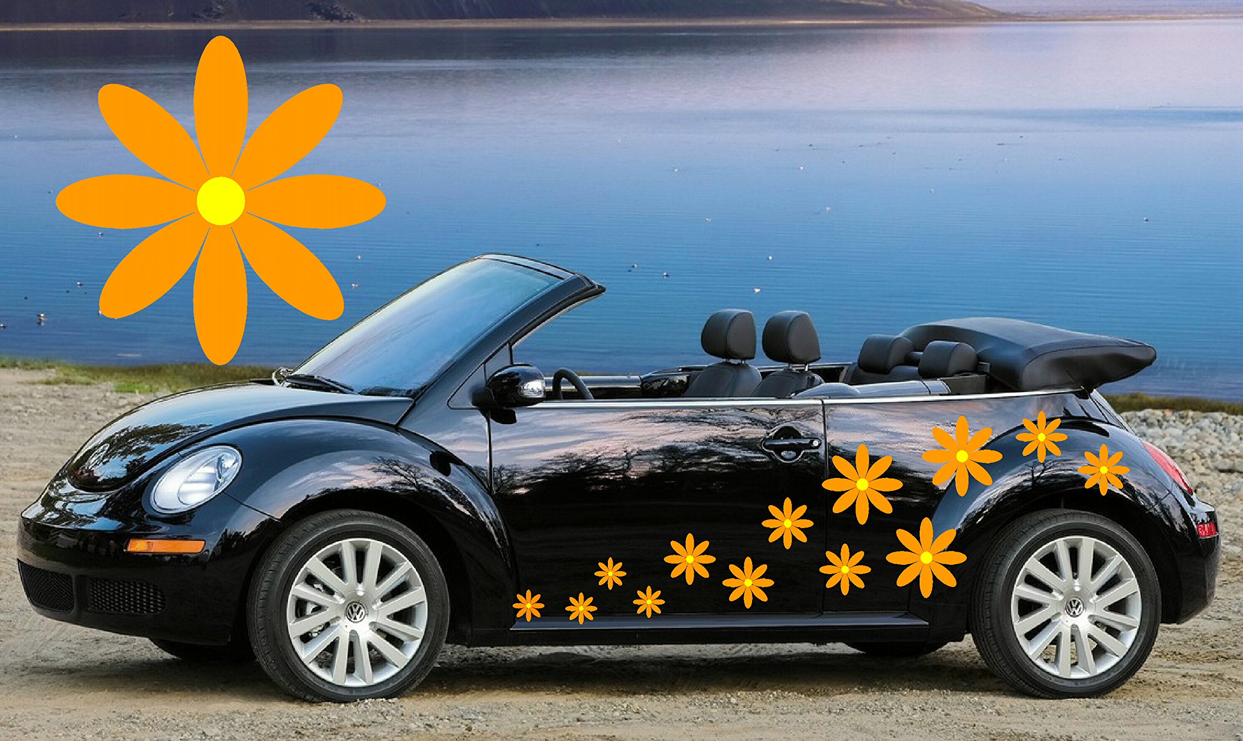 Teez Orange - 32 & Yellow Daisy Car Decals,Stickers, Car Graphics