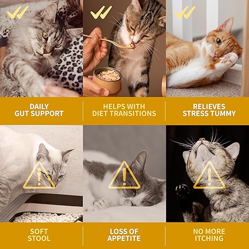 Miniatura 4 de Dr. Kiwi O'dogcat Probióticos para gatos  Apoya la salud intestinal, la diarrea, la salud digestiva y las alergias estacionales