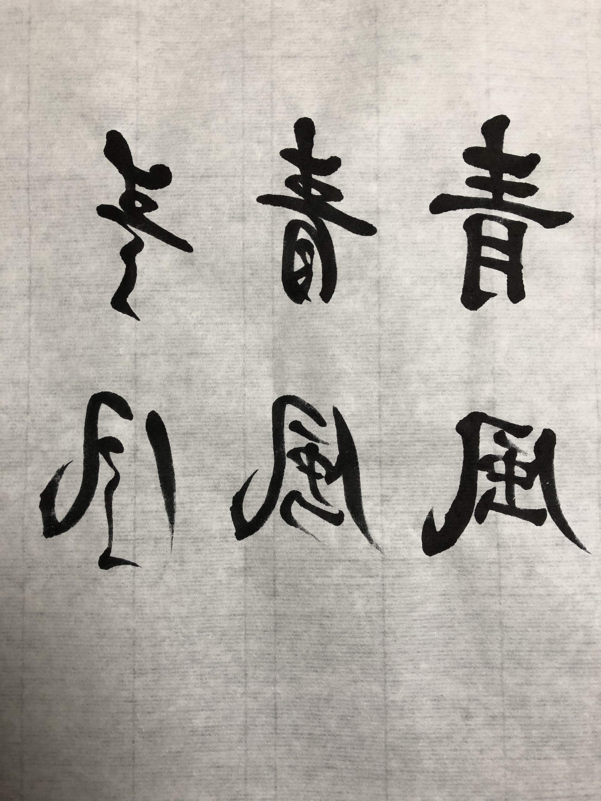 書道 手本集 Amazon | 天義堂 書道半紙 清書 練習「滲まず、書きやすい」 500