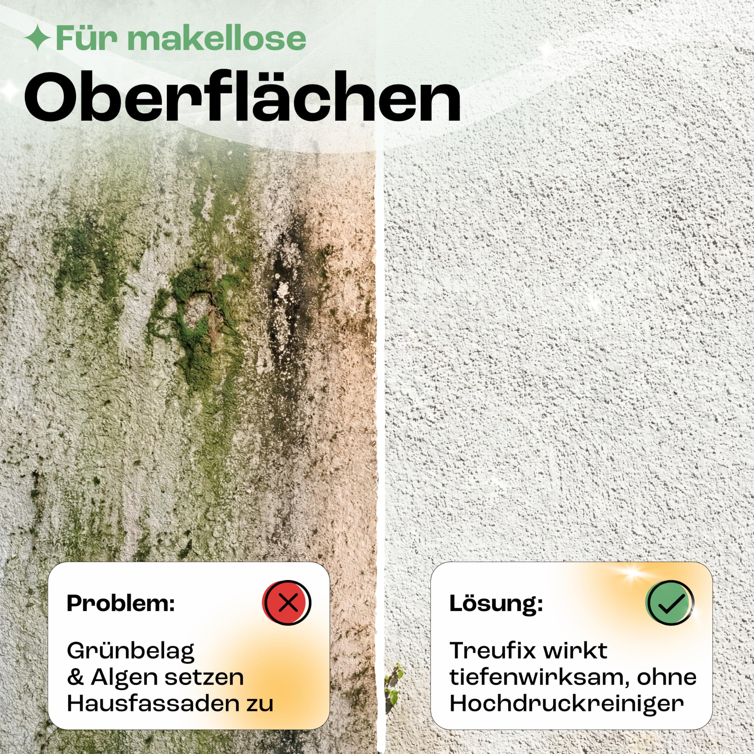 Treufix Fassadenreiniger Konzentrat 5L kraftvoll gegen Algen & Grünbelag | Profi Fassadenreinigung gegen organische Verschmutzungen für Putz, Beton, Klinker Hauswand & mineralische Fassaden