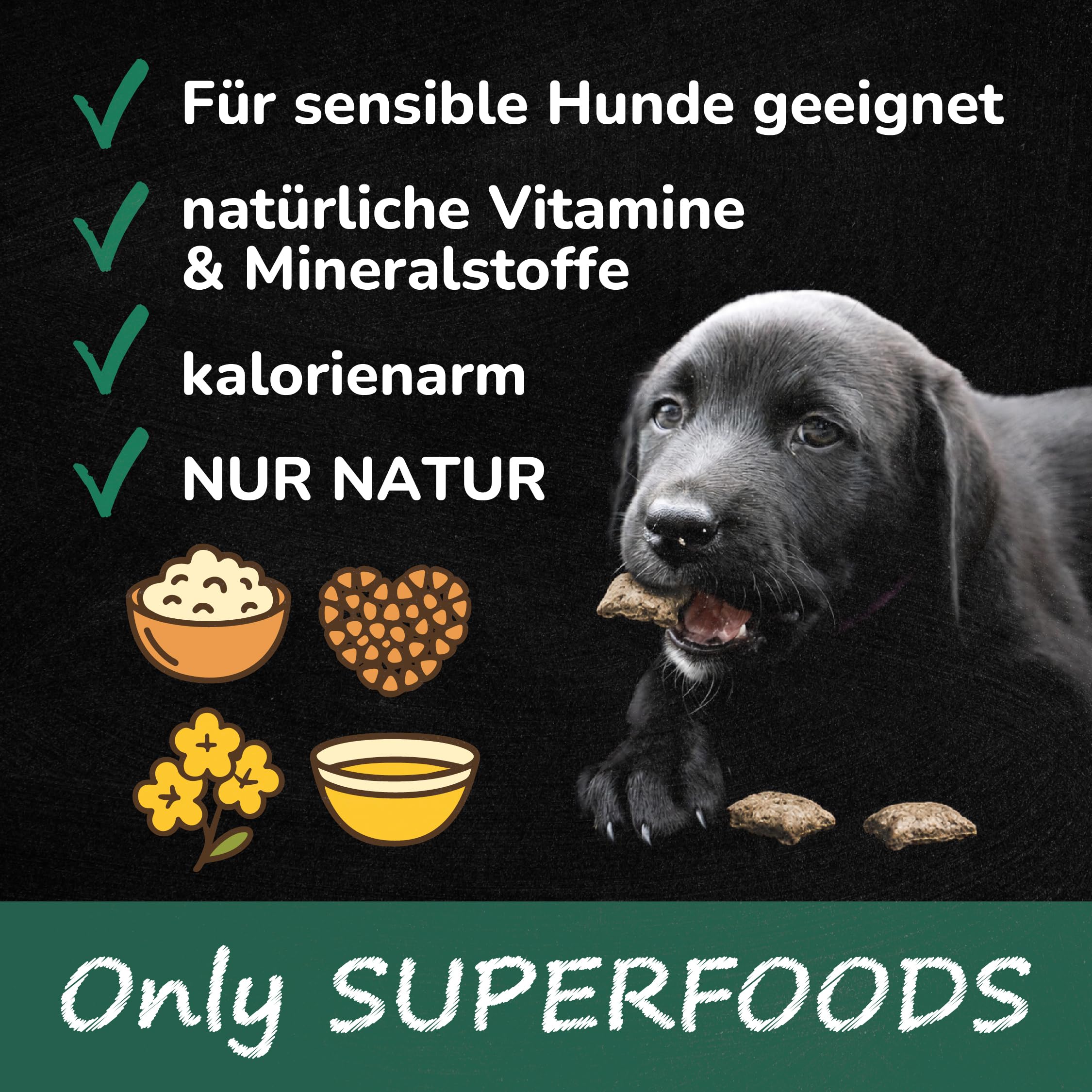 QCHEFS Glückskiste Schnüffelzahnbürste Hund Schnüffelteppich Zahnpflege | Schnüffelteppich, Intelligenzspielzeug, Zahnpflege, Hundespielzeug, Schnüffelmatte, Beruhigt, Für Kleine & Große