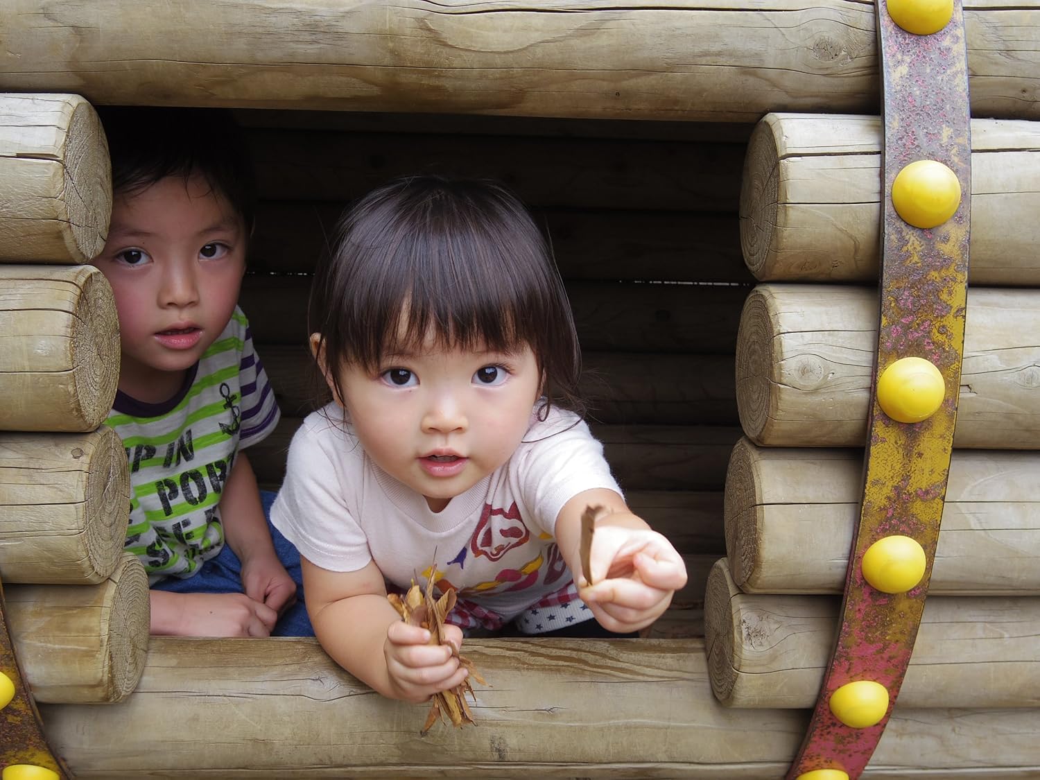 pentax q7 black zoom lens kit with 02 standard zoom 5 15mm f2 8 4 5 international version no warranty