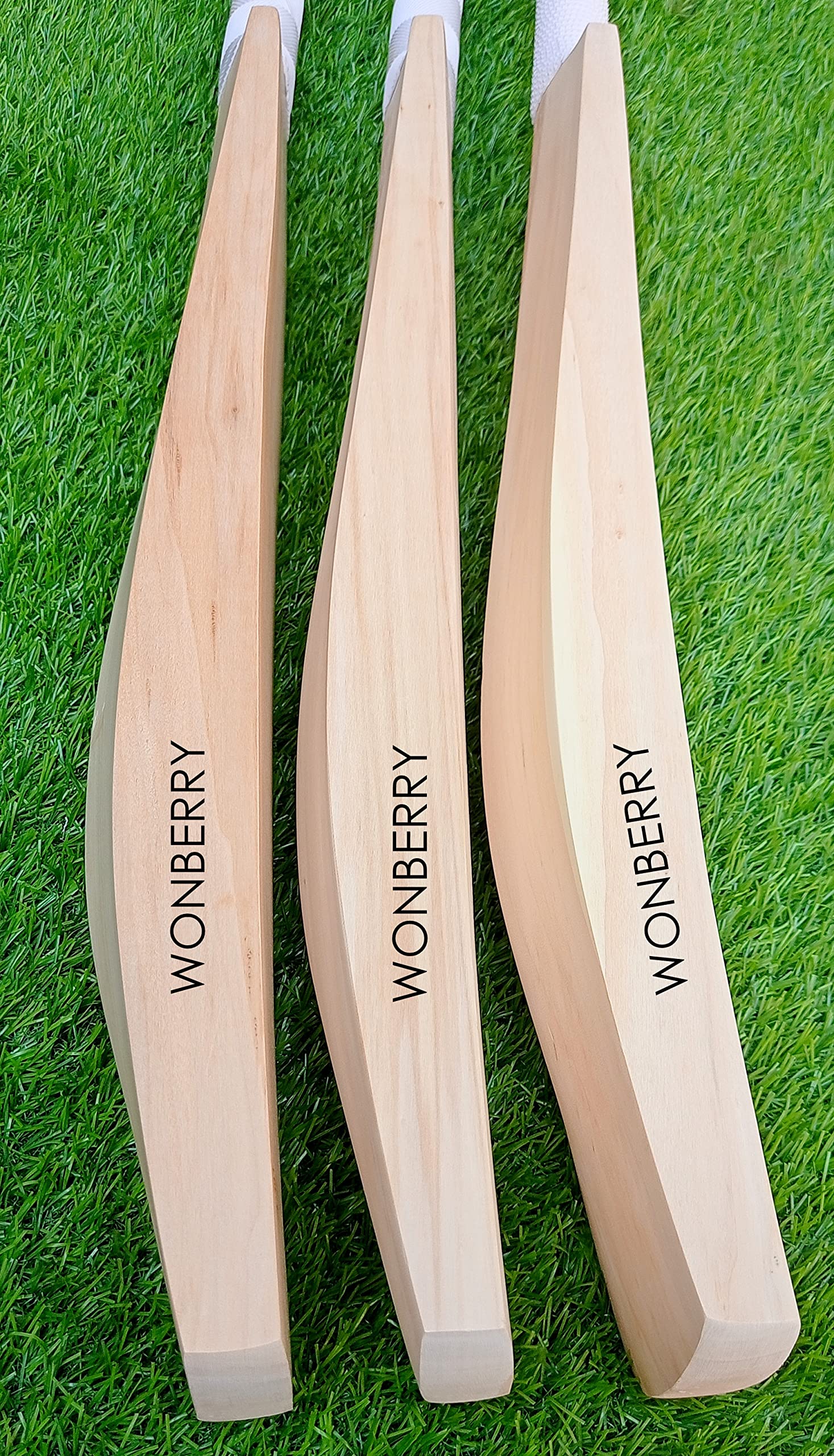 Wonberry Evergreen Fully Knocked English Willow Cricket Bat Full SH 8+ Grains (B09MZ6NM8K) Amazon Price History, Amazon Price Tracker
