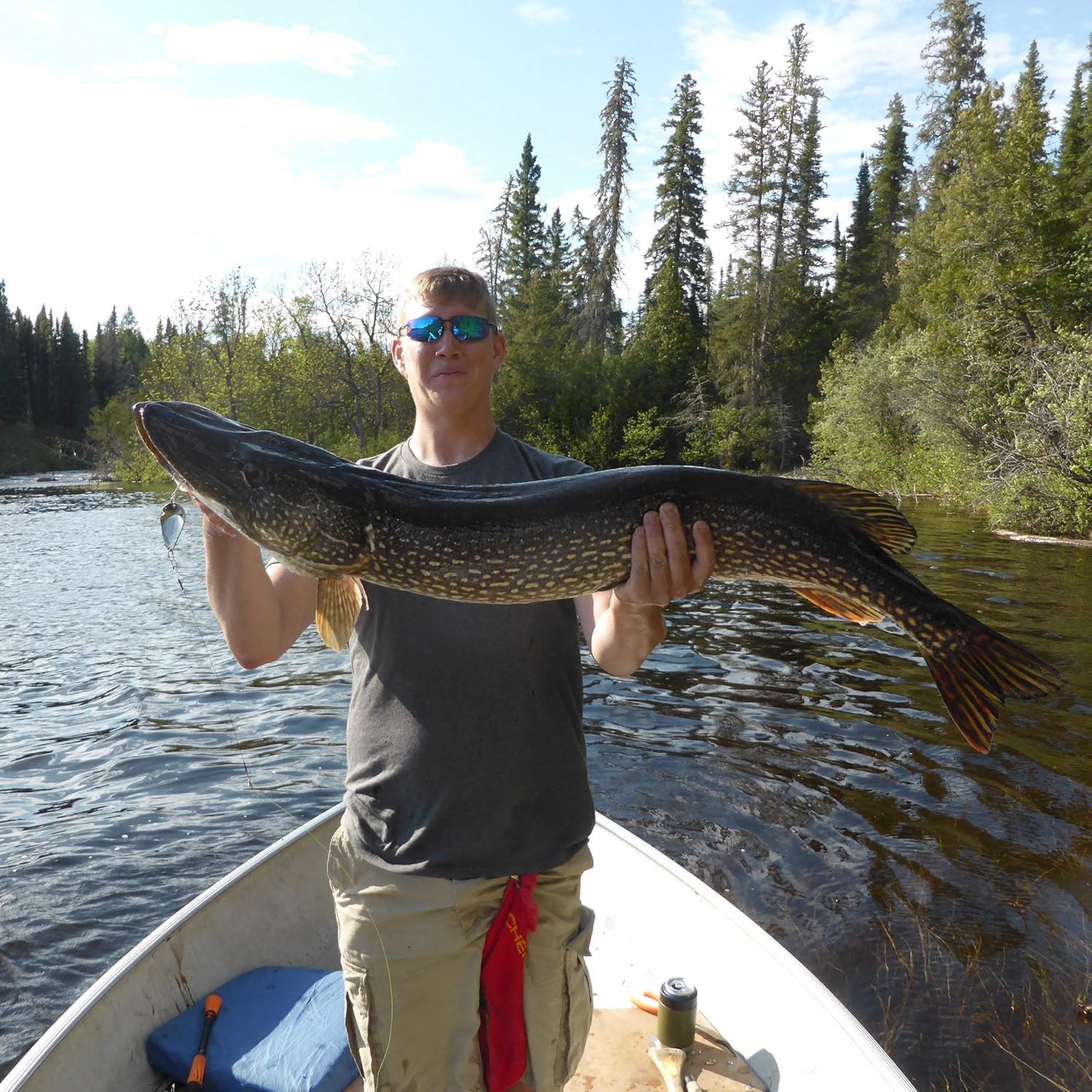 Acme KO Wobbler Lure 3/4-Ounce Nickel Chartreuse Stripe