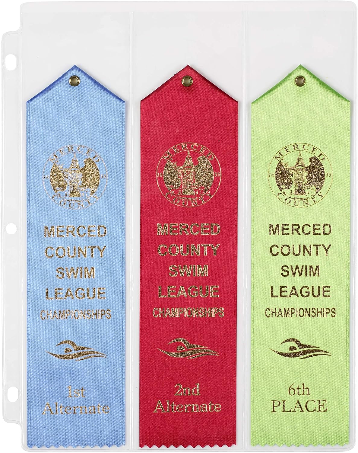 Gymnastics Gift Award Ribbon Binder Organizer Display Storage Gymnast Present Ribbons Holder 15 Pages Sheets and More