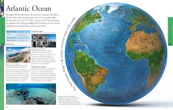 Ocean: A Visual Encyclopedia (DK Children's Visual Encyclopedias)